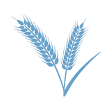 A simple blue graphic of two wheat stalks crossing each other, with detailed grains and a curved leaf, set against a light gray background.