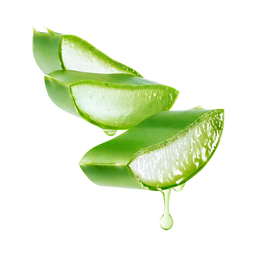 Three fresh, green aloe vera leaf segments stacked with clear gel exposed and a drop of gel dripping from the lowest piece, set against a white background.