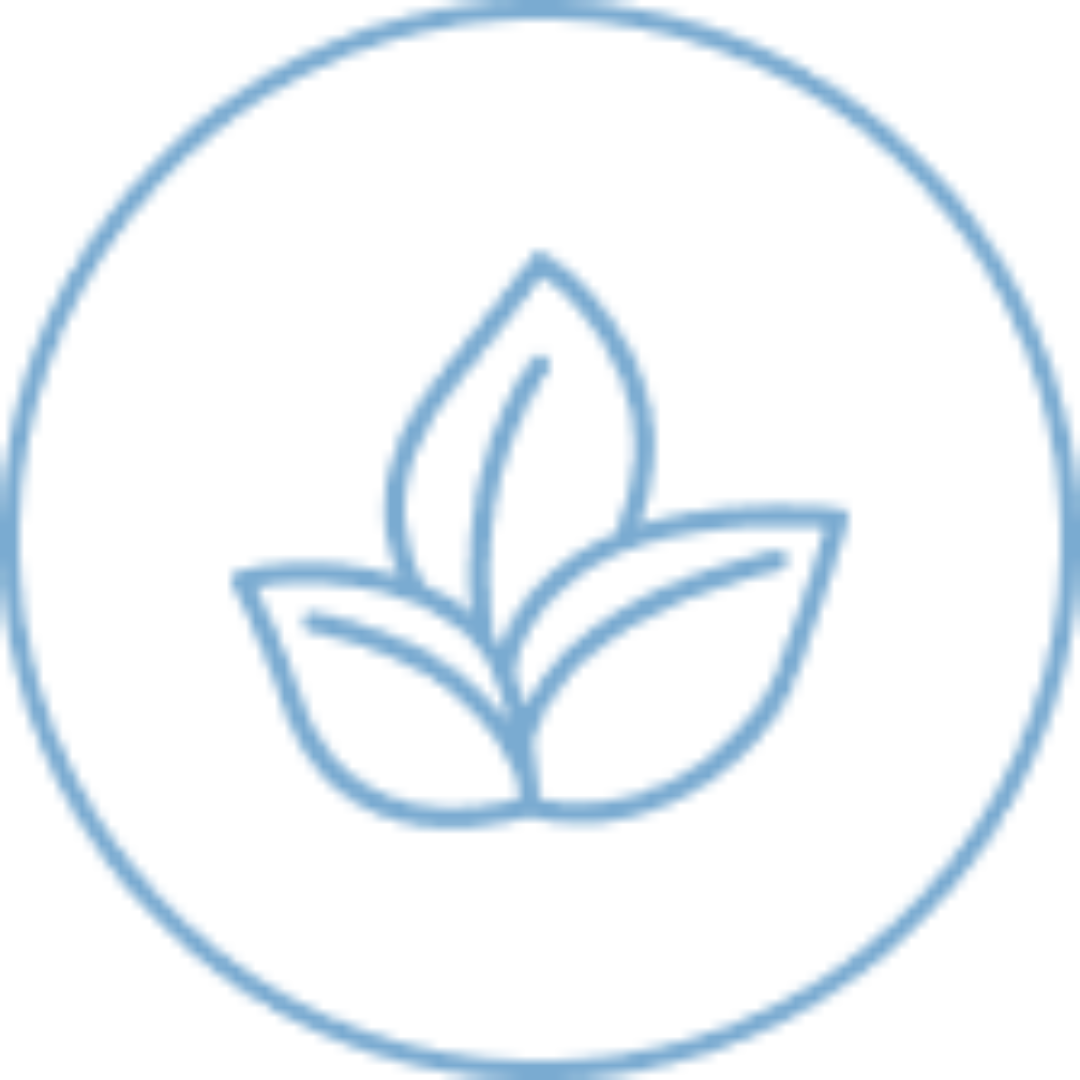 A simple blue outline of three leaves inside a blue circle, representing nature or eco-friendliness, on a white background.
