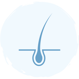 A simple blue icon of a hair follicle with a single hair strand emerging from the skin, set against a light blue circular background.