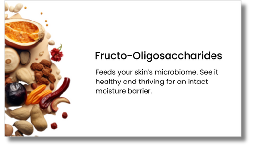 A variety of nuts, seeds, dried fruits, and vegetables are arranged on the left. On the right, text reads: “Fructo-Oligosaccharides. Feeds your skin’s microbiome. See it healthy and thriving for an intact moisture barrier.”.