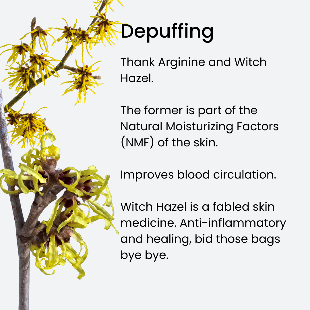 Branch of witch hazel with yellow flowers on the left. On the right, text about depuffing properties of arginine and witch hazel for skin, mentioning improved circulation and anti-inflammatory benefits.