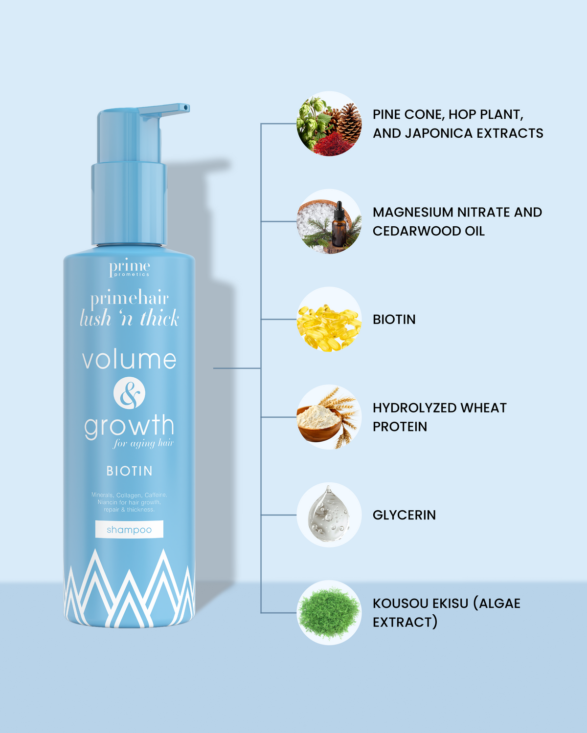 A blue bottle of primehair lush n thick volume & growth shampoo is shown with callouts illustrating key ingredients: pine cone, hop plant, japonica extracts, magnesium nitrate & cedarwood oil, biotin, hydrolyzed wheat protein, glycerin, and algae extract.