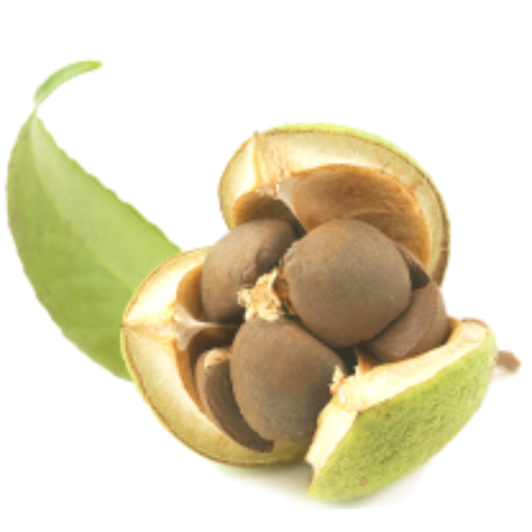 Image 23032874172439