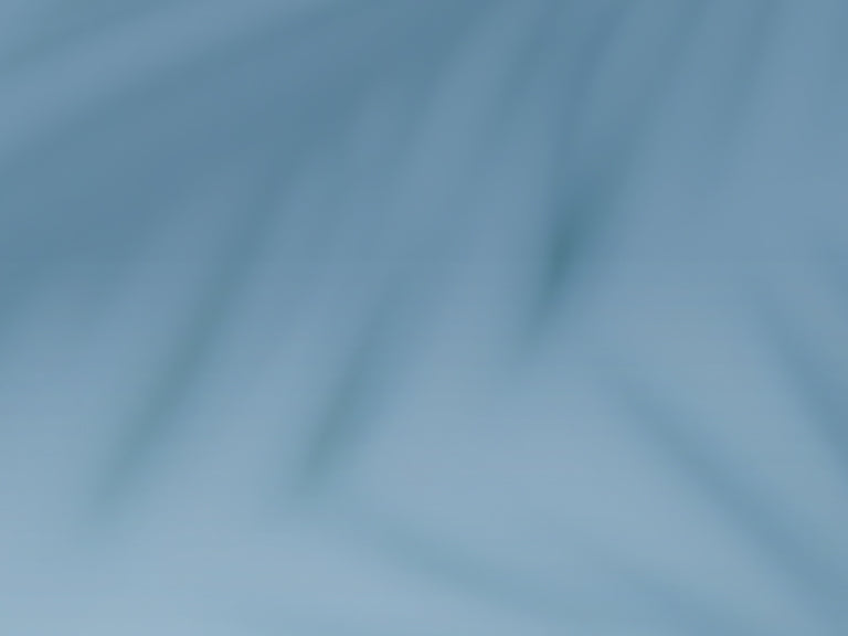 Blurred image with soft blue tones and faint, out-of-focus lines resembling the shadows or silhouettes of palm leaves or branches.