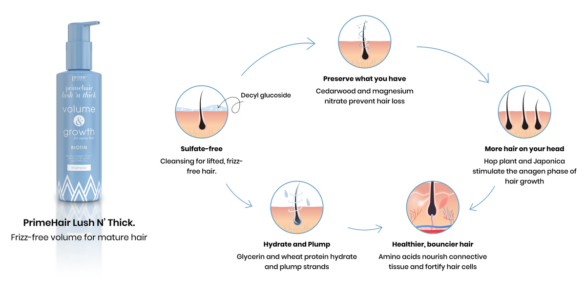 A blue bottle of PrimeHair Lush N’ Thick is shown beside a circular diagram explaining benefits: prevents hair loss, stops hair thinning, nourishes connective tissue, hydrates hair, and provides sulfate-free cleansing.