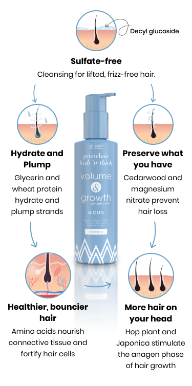 Infographic about a volume and growth biotin shampoo with benefits: Sulfate-free cleansing, hydration and plumping, preserving existing hair, healthier hair, and promoting new hair growth, shown with related icons and descriptions.