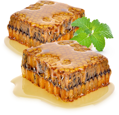 Image 22631672086551