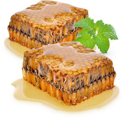 Two pieces of honeycomb dripping with golden honey, placed on a white surface, with a sprig of fresh mint beside them.